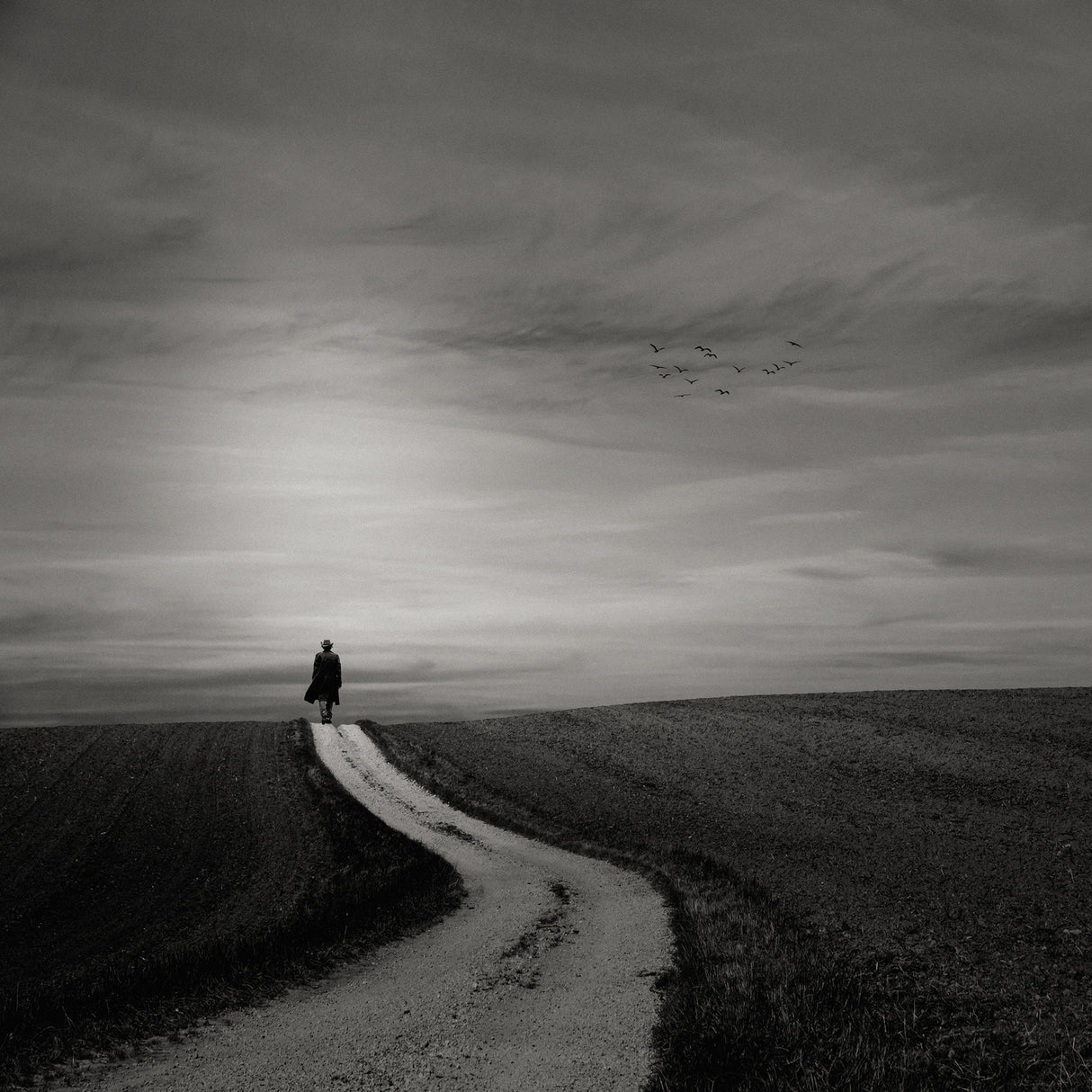 Walking Alone Poster och Canvastavla