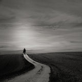 Walking Alone Poster och Canvastavla