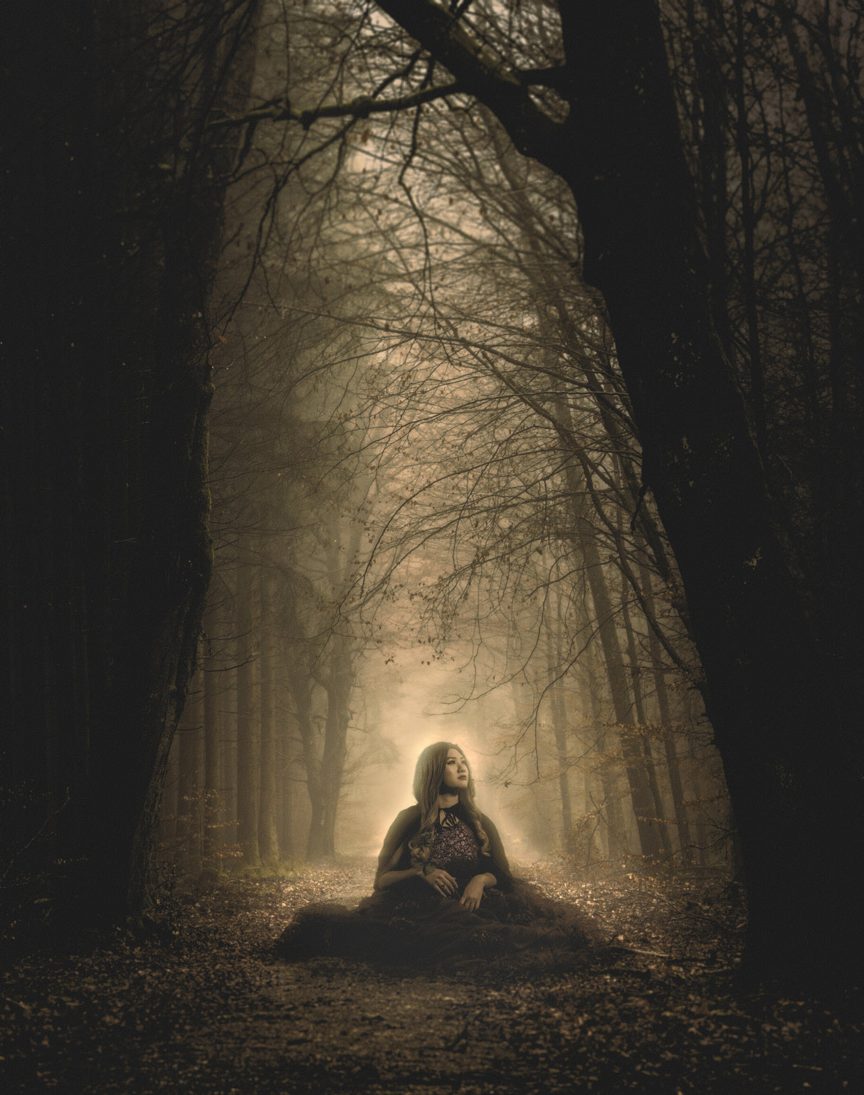 Dark Forest Poster och Canvastavla