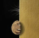 Shy cat ... Poster och Canvastavla