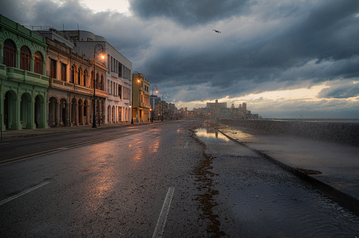 Winter Malecon Poster och Canvastavla