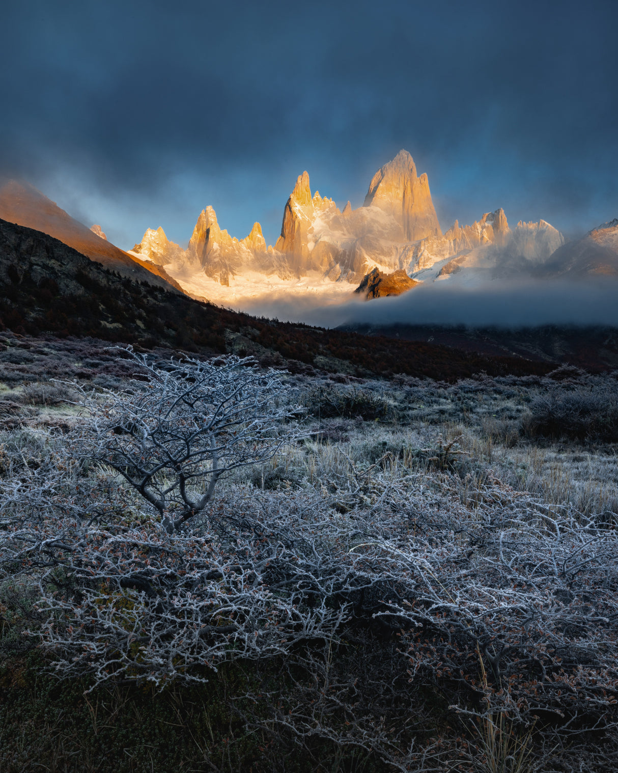 Frost Morning Poster och Canvastavla