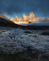 Frost Morning Poster och Canvastavla
