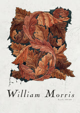 Acanthus Poster och Canvastavla