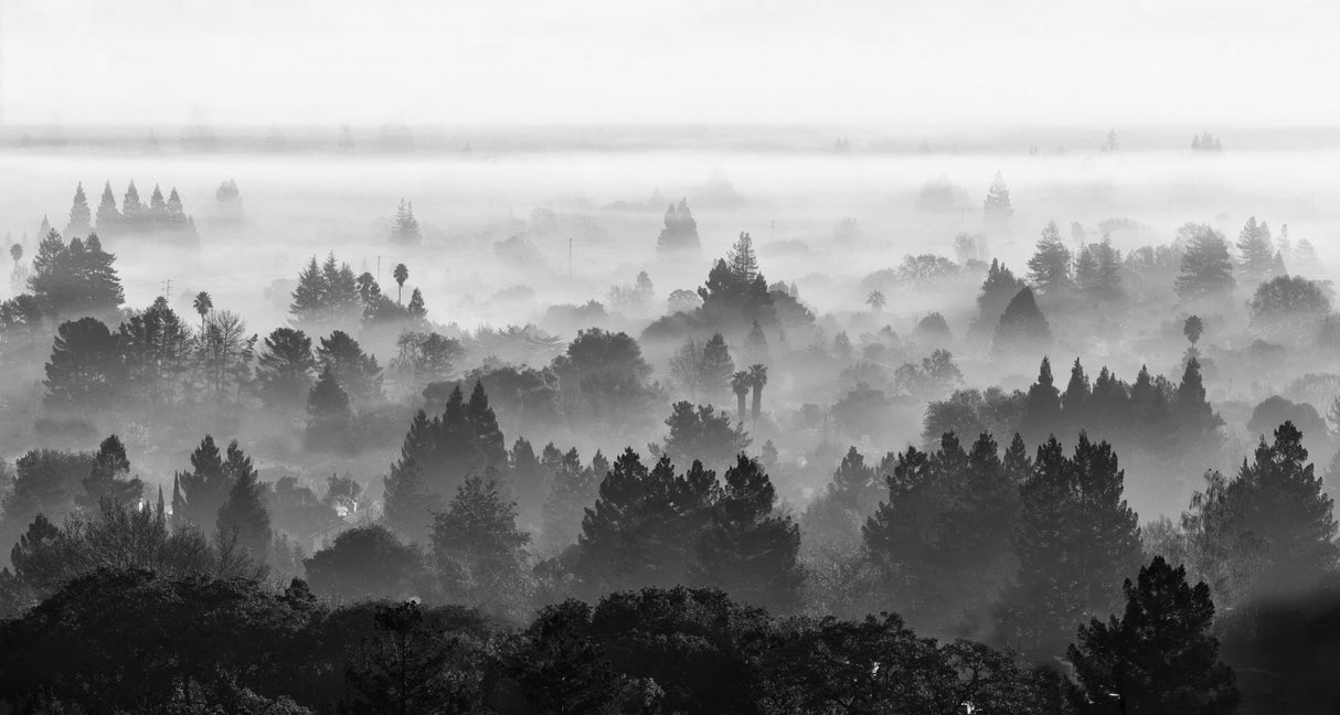 Misty Valley Poster och Canvastavla