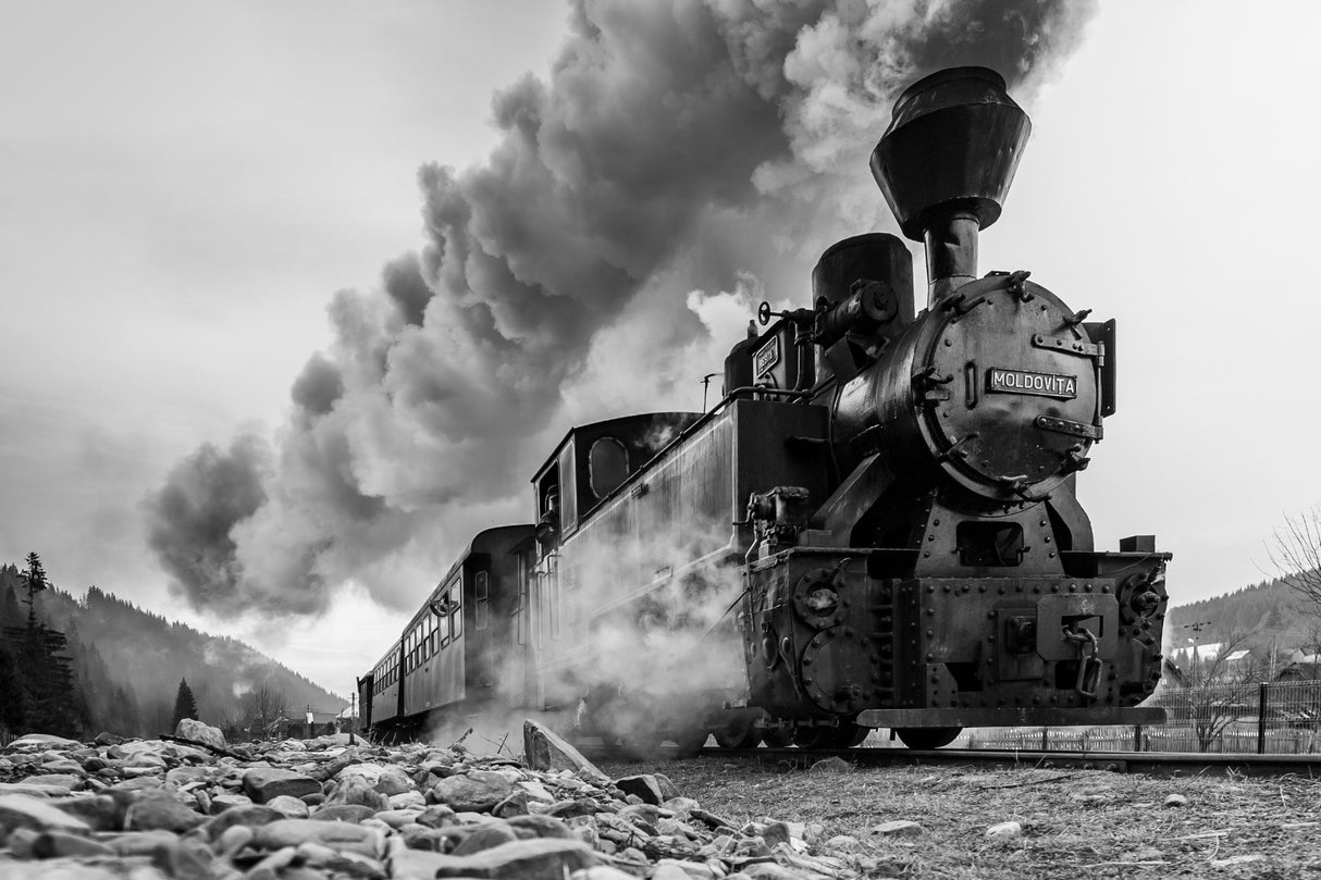 Steam train Poster och Canvastavla