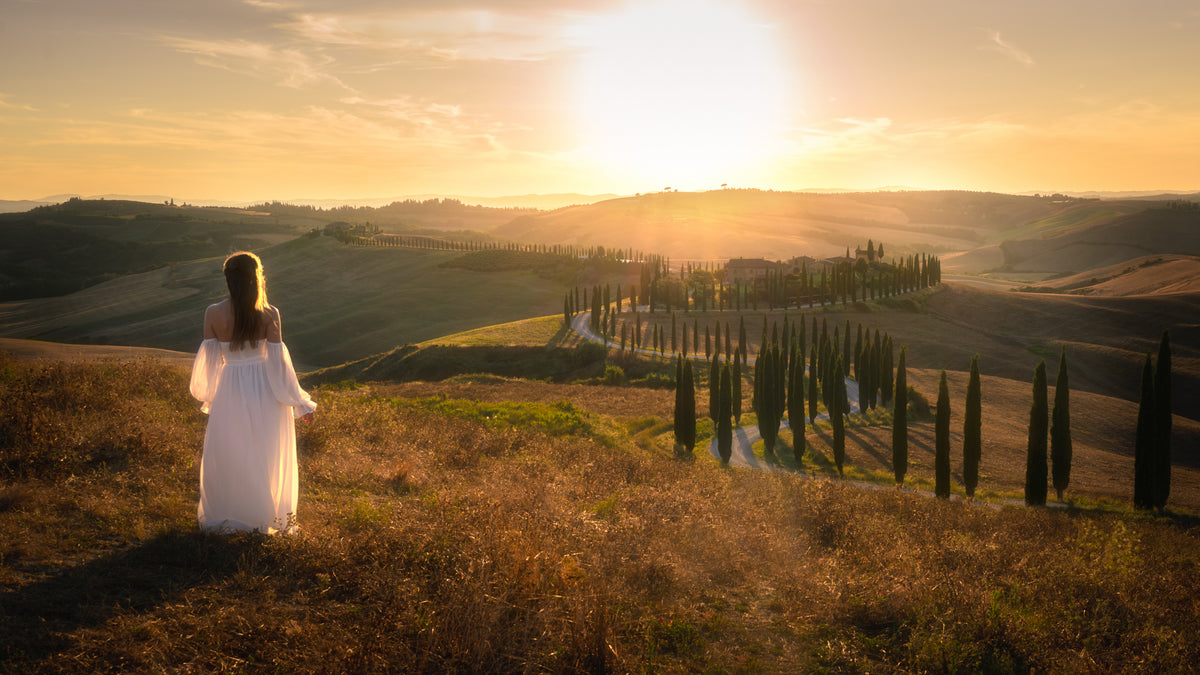 Tuscany Memory Poster och Canvastavla