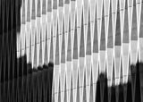 Shadow lines Poster och Canvastavla