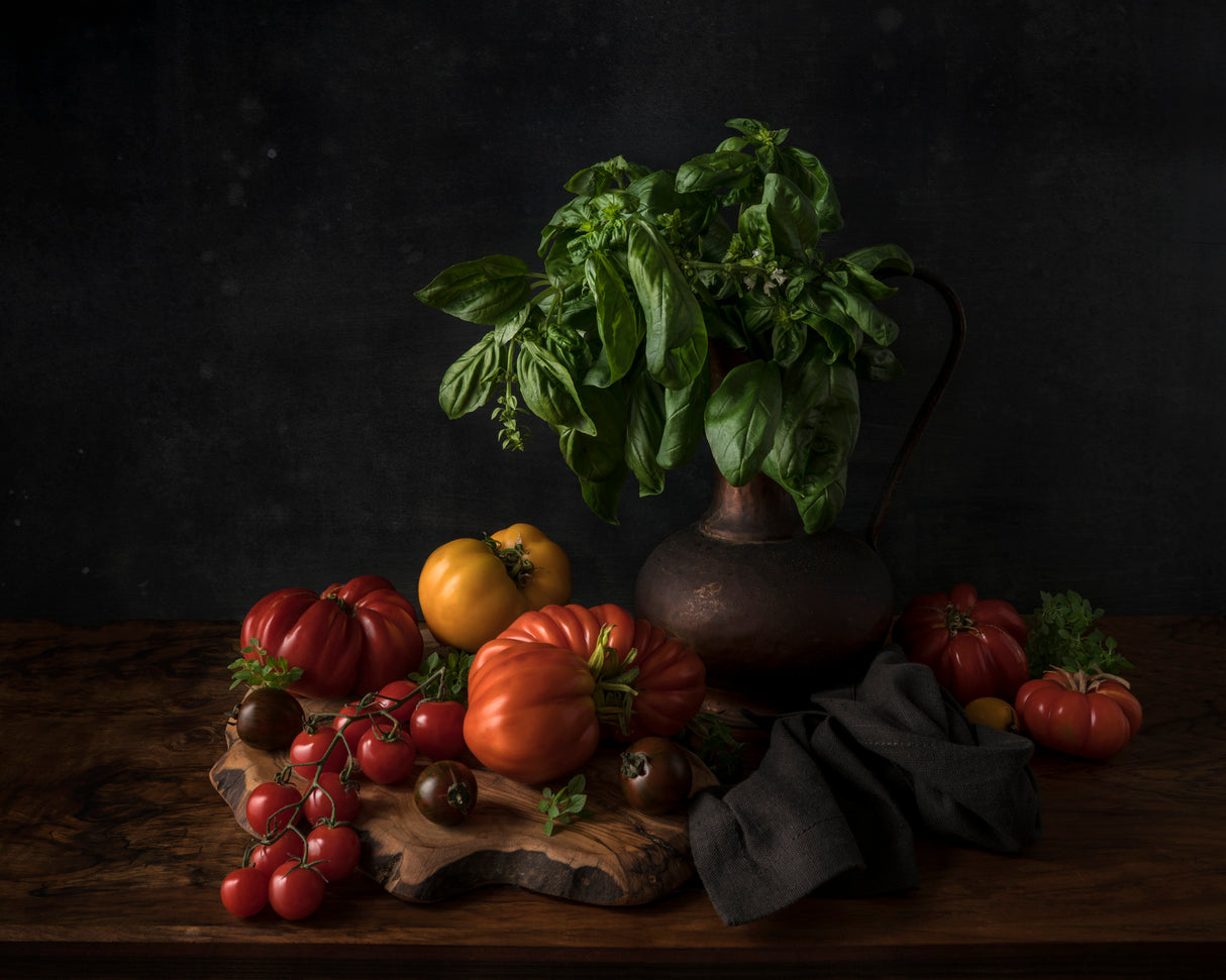 Still life with tomatoes and basil Poster och Canvastavla