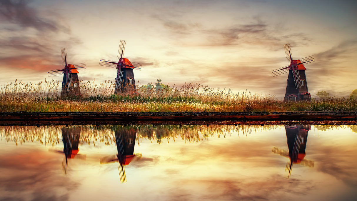 windmills on salt pond Poster och Canvastavla