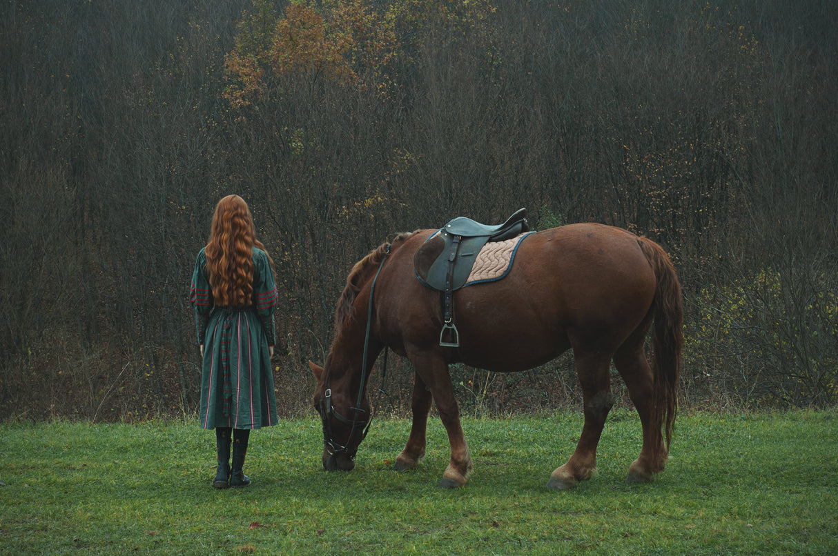 A story with a girl and a horse Poster och Canvastavla