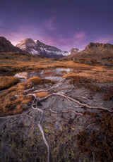 Dry Autumn Poster och Canvastavla