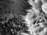 Low Winter Sun Shadows Poster och Canvastavla