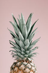 Pineapple Pink 02 Poster och Canvastavla