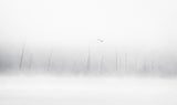 misty moments Poster och Canvastavla