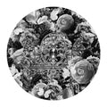 Paisley Blooms &amp; Crown Black &amp; White Poster och Canvastavla