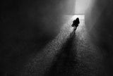 To the light Poster och Canvastavla