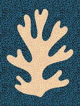 Yellow and Blue Coral Study Poster och Canvastavla