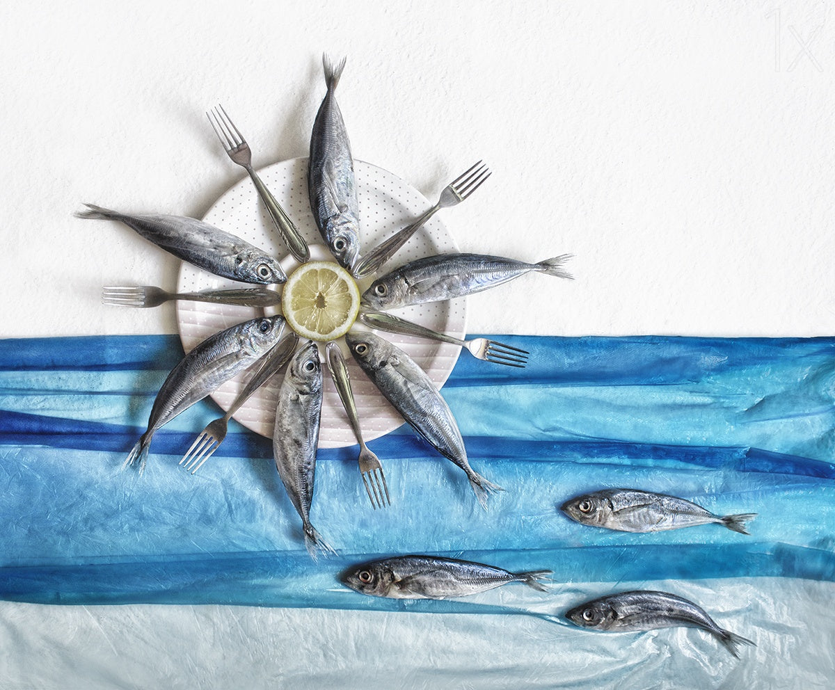 Sun and Sea ... Poster och Canvastavla