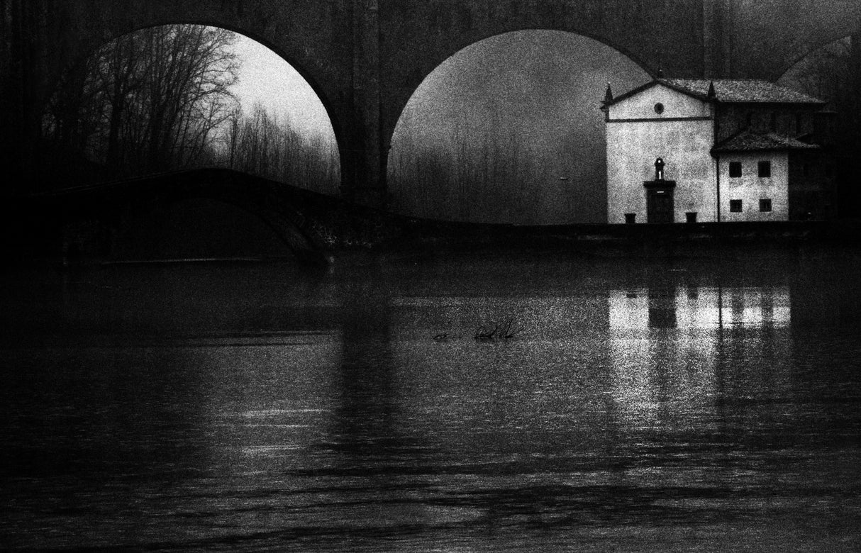 fog on the lake Poster och Canvastavla
