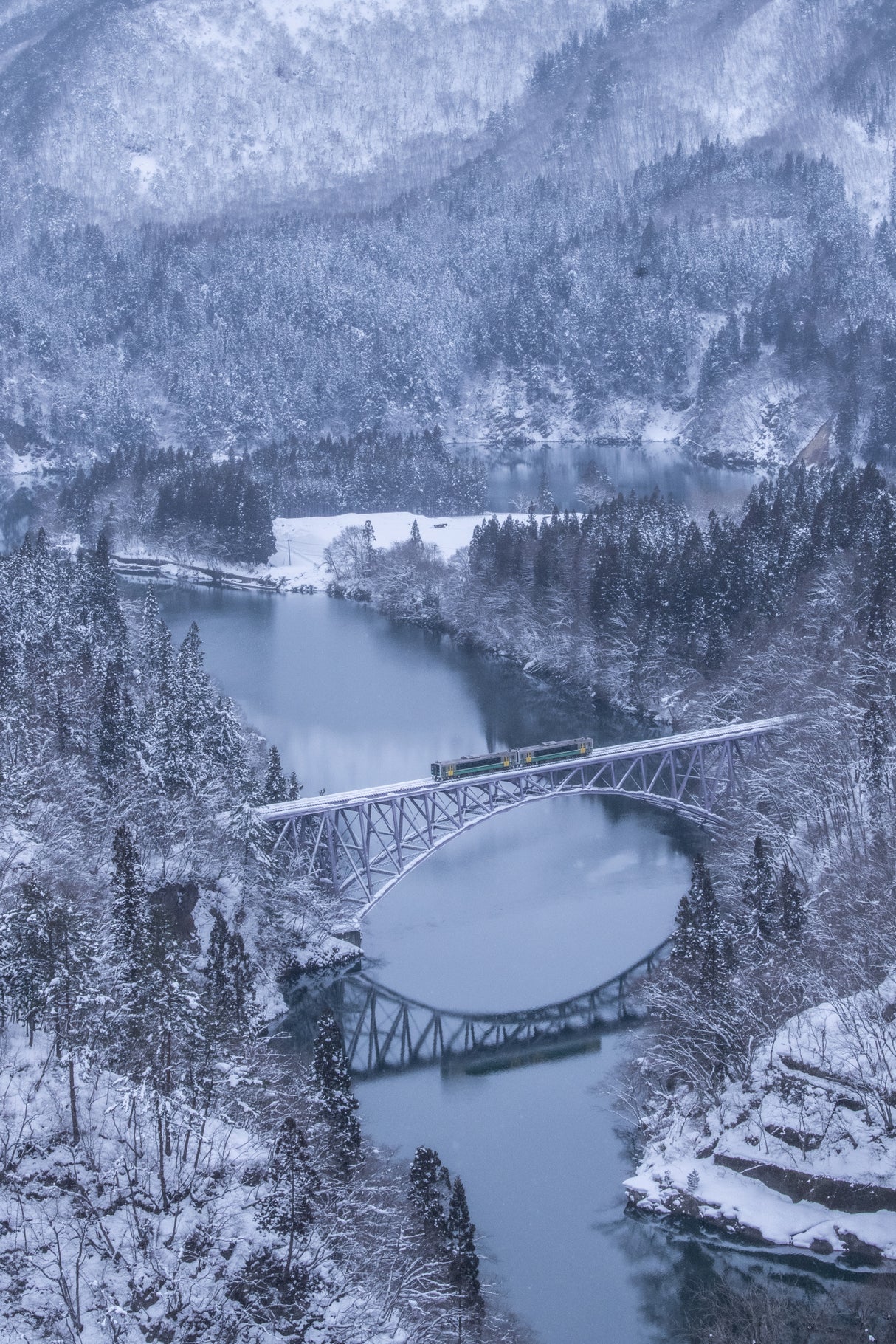 Winter train Poster och Canvastavla