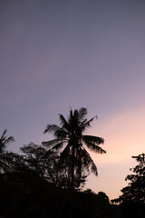 Lombok sunset Poster och Canvastavla