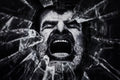 a cry from the dark side Poster och Canvastavla