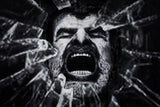 a cry from the dark side Poster och Canvastavla