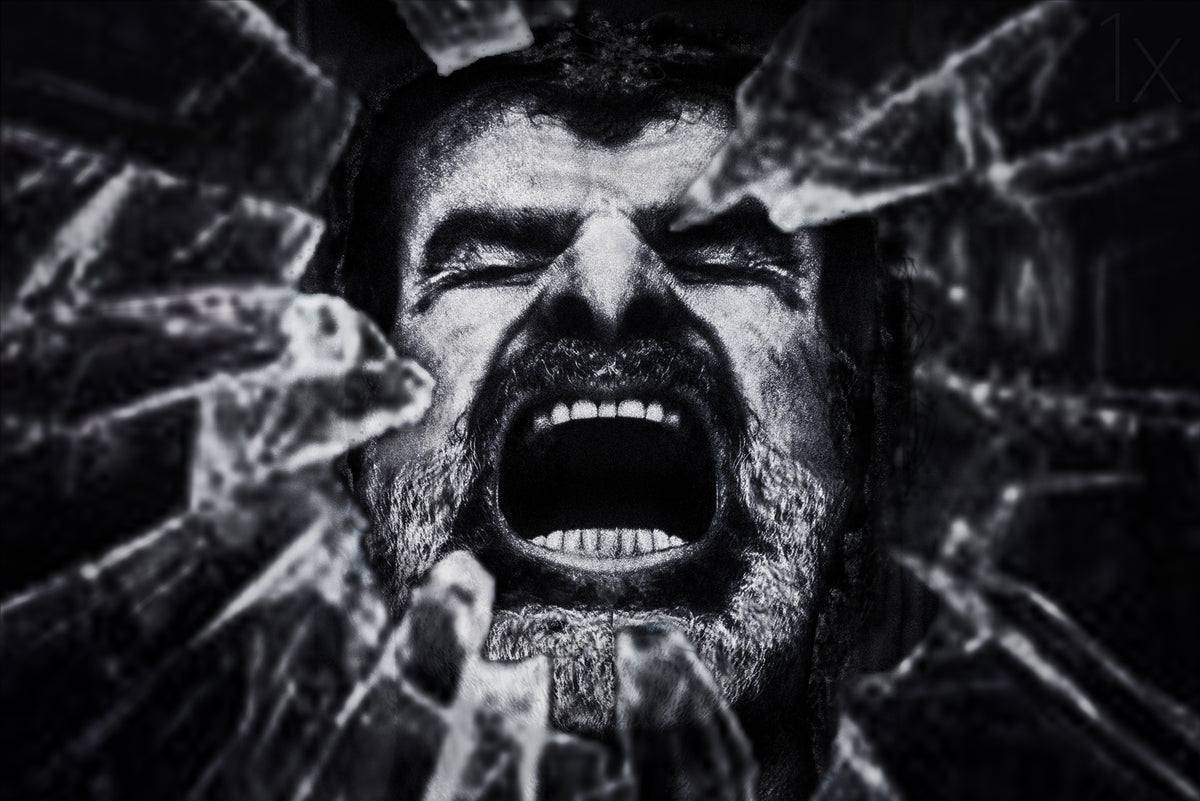 a cry from the dark side Poster och Canvastavla