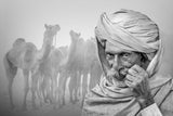 The Pride Of Pushkar Poster och Canvastavla