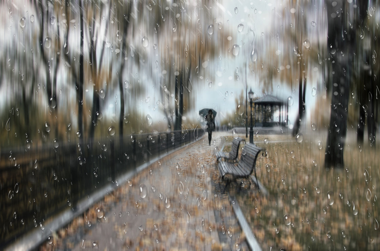 Autumn park Poster och Canvastavla