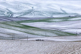 Val D'Orcia in bianco 2 Poster och Canvastavla