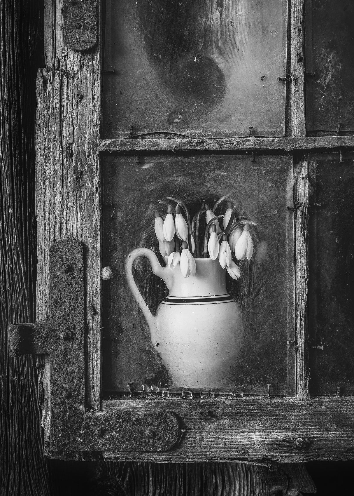 Spring flowers Poster och Canvastavla