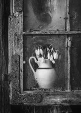 Spring flowers Poster och Canvastavla