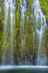 Mossbrae Falls Poster och Canvastavla