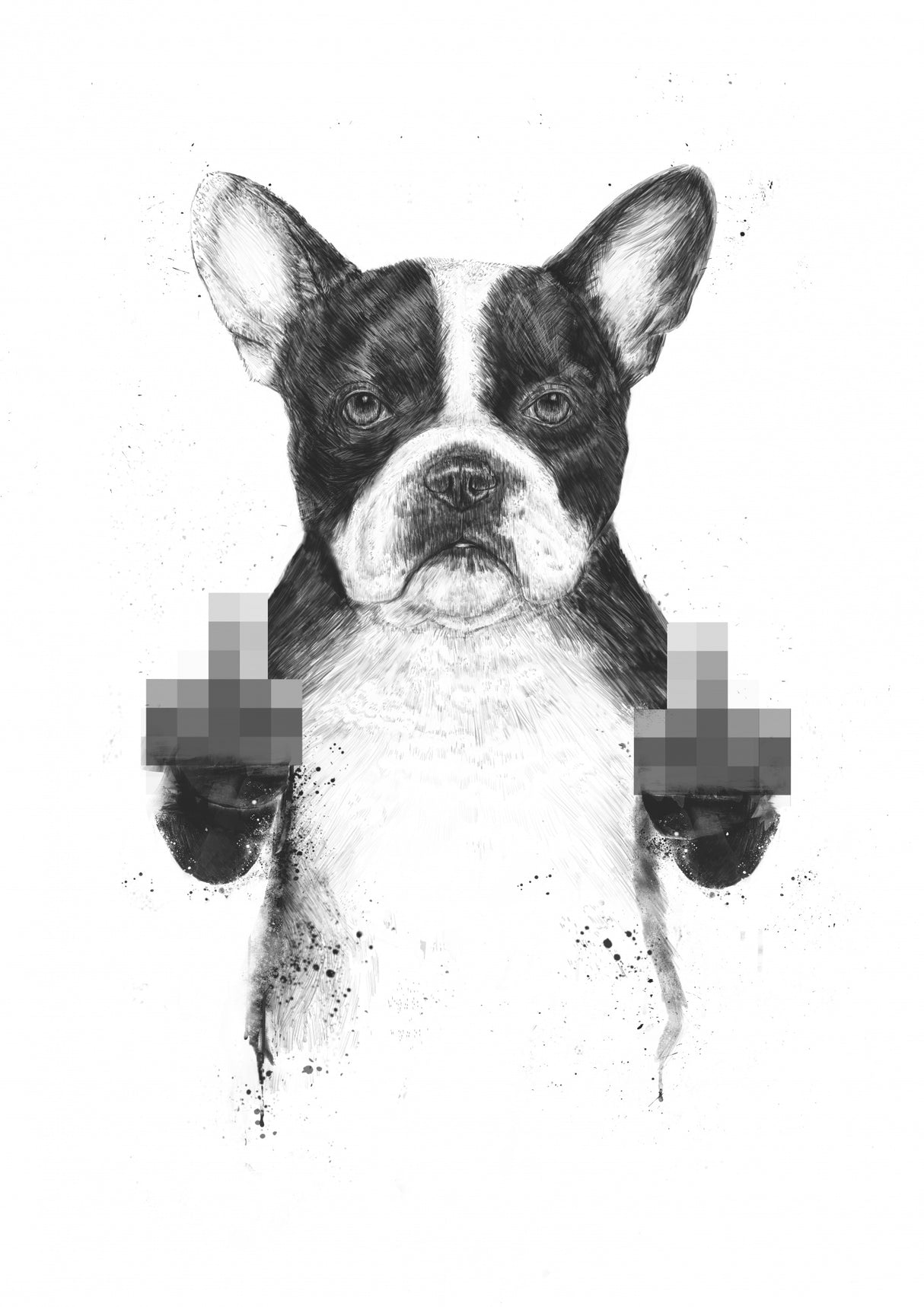 Censored dog Poster och Canvastavla