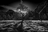 The Winter Spirit Poster och Canvastavla