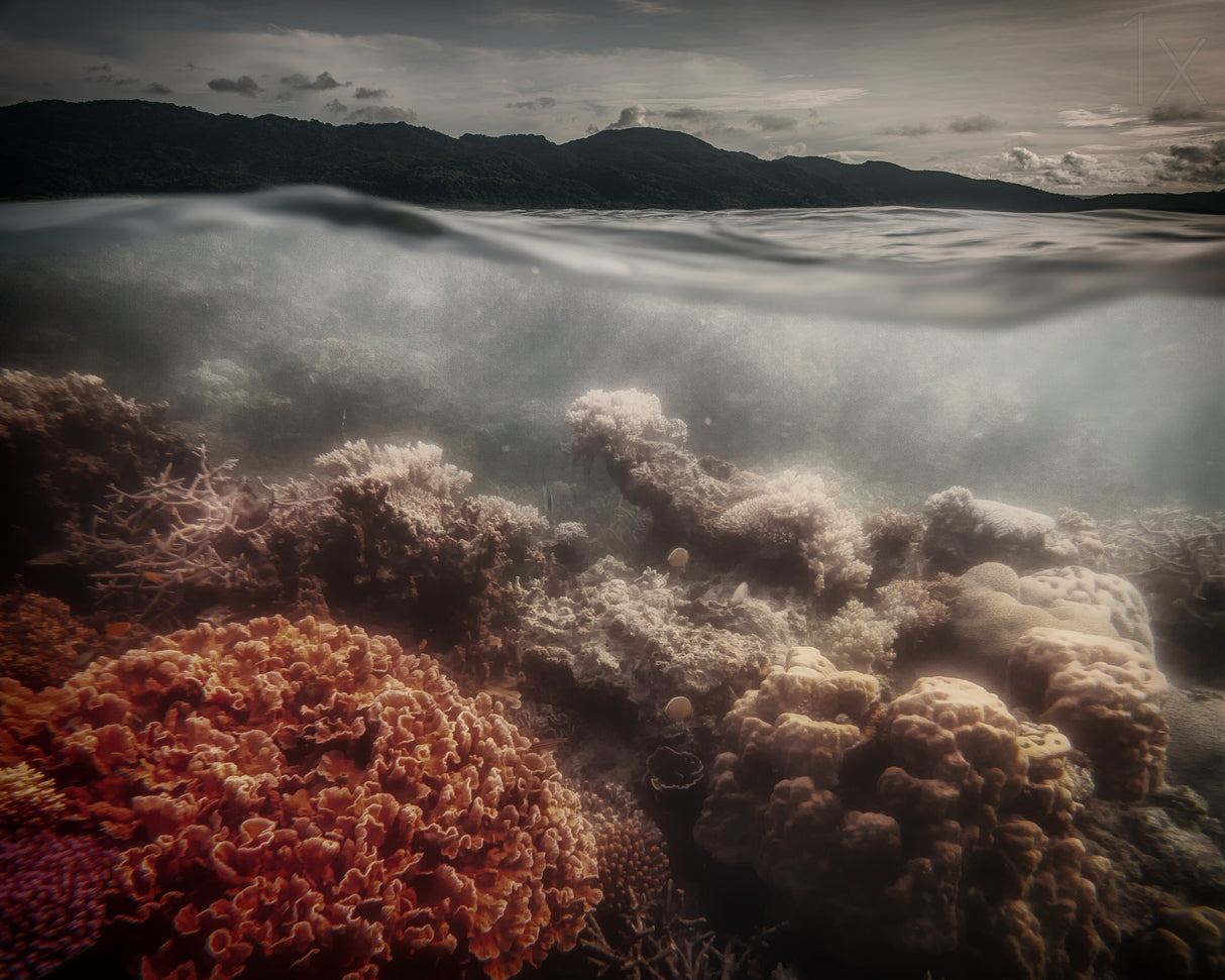 underwater evening Poster och Canvastavla