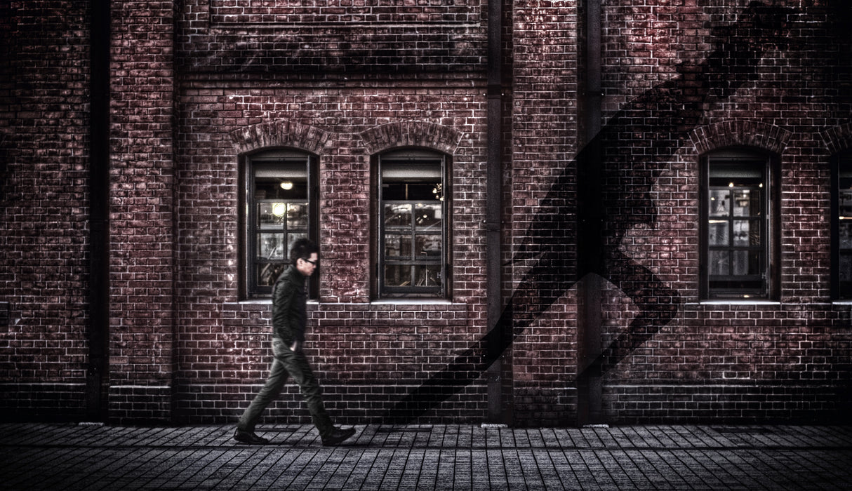 moving shadow Poster och Canvastavla