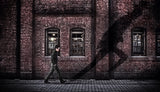 moving shadow Poster och Canvastavla