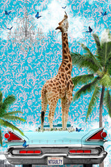 Giraffe California Dream Poster och Canvastavla