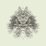 Rorschach Test Poster och Canvastavla