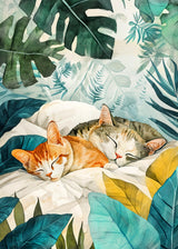 Cat's life 14 Poster och Canvastavla