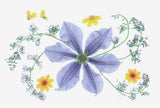 Blue Clematis Poster och Canvastavla