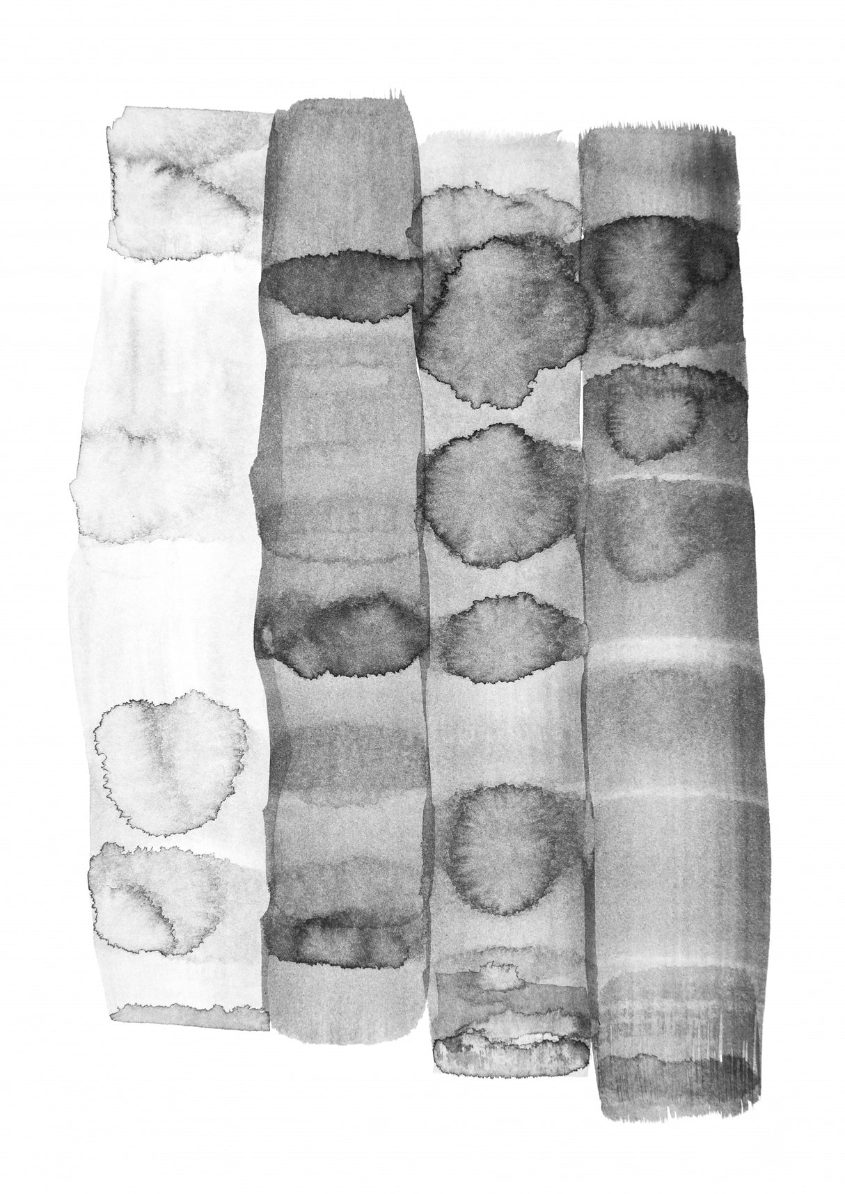 Seed Pod Poster och Canvastavla