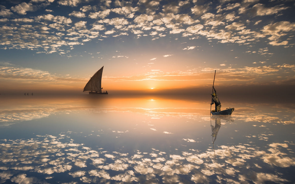 Sailing Poster och Canvastavla