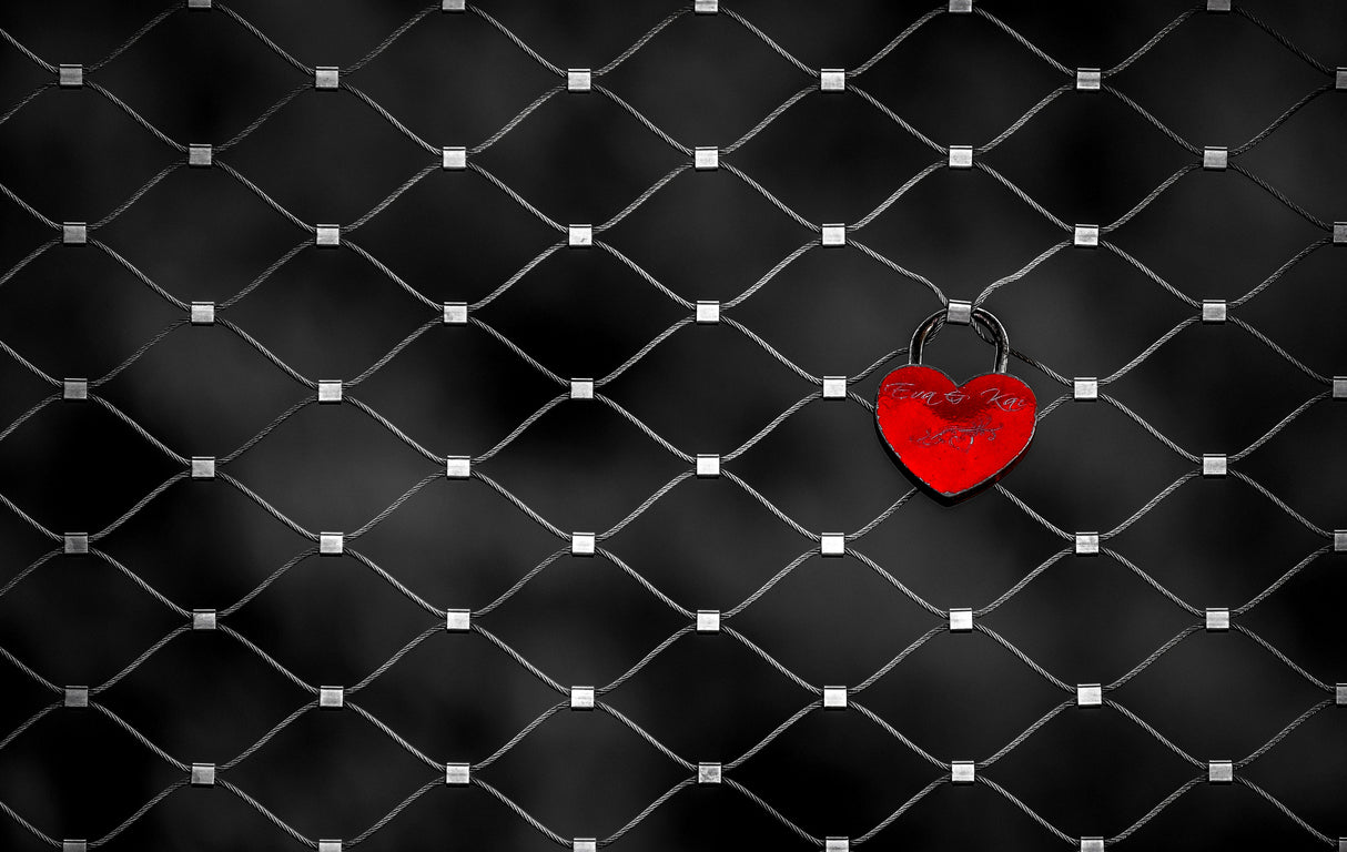 Love lock Poster och Canvastavla