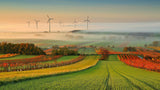Autumn Atmosphere in Vineyards Poster och Canvastavla