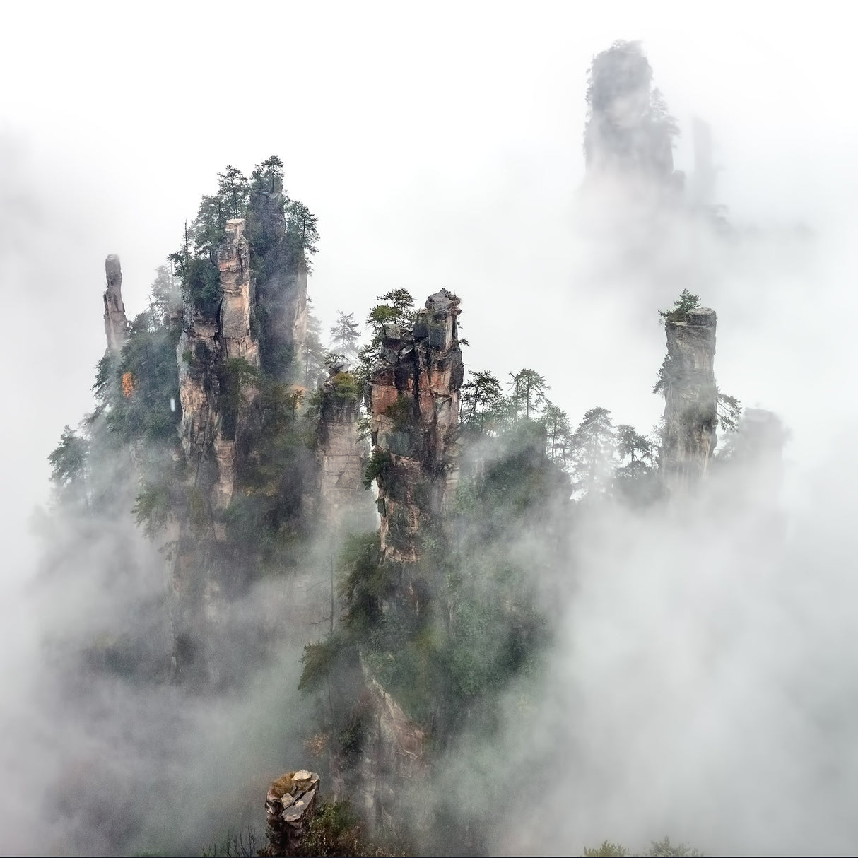 Zhangjiajie Poster och Canvastavla