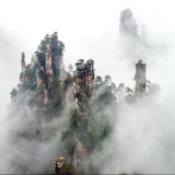 Zhangjiajie Poster och Canvastavla